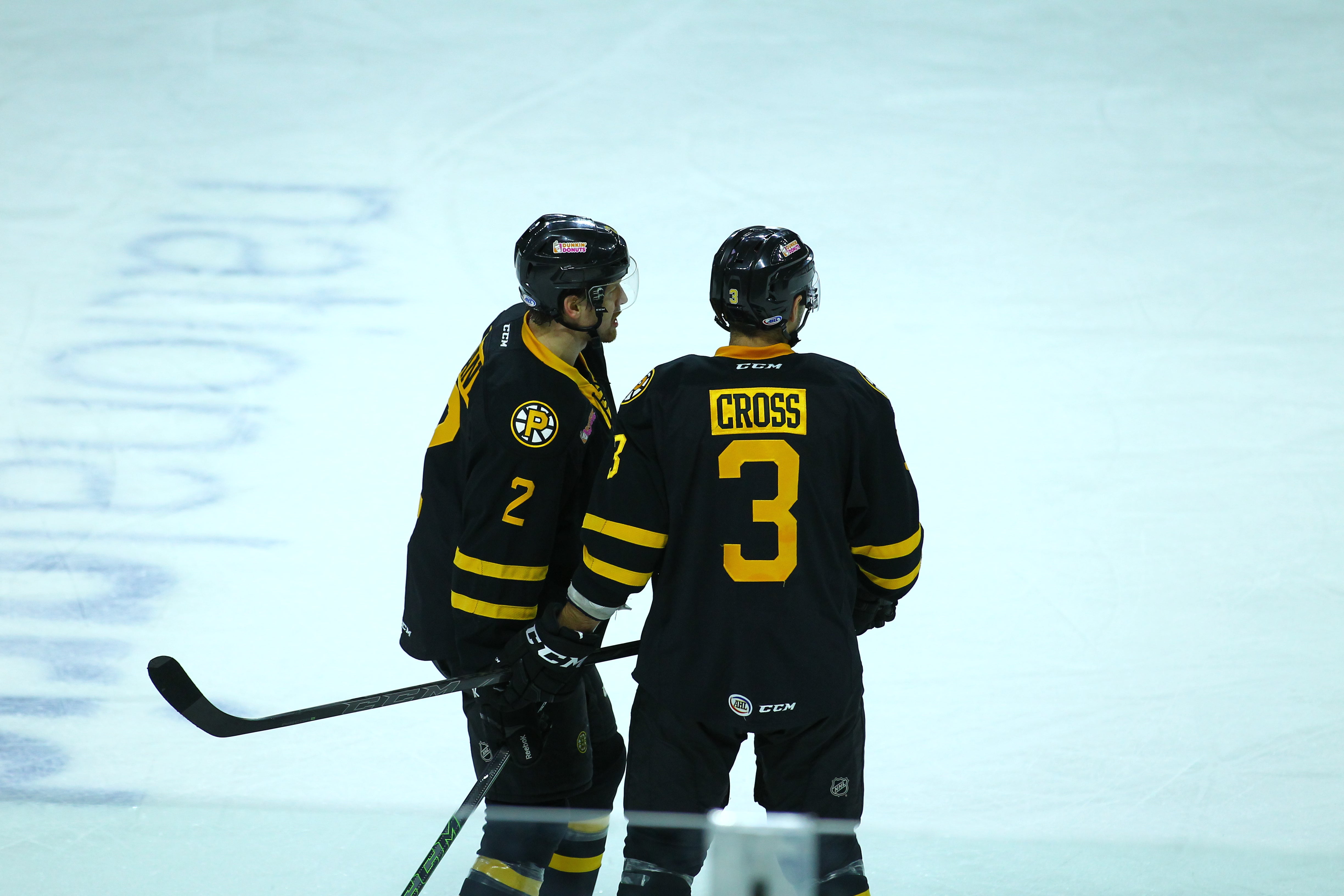 Providence Bruins Depth Chart