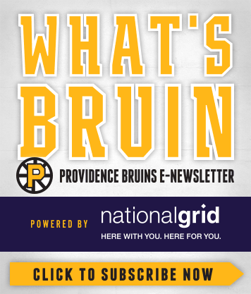 providence bruins