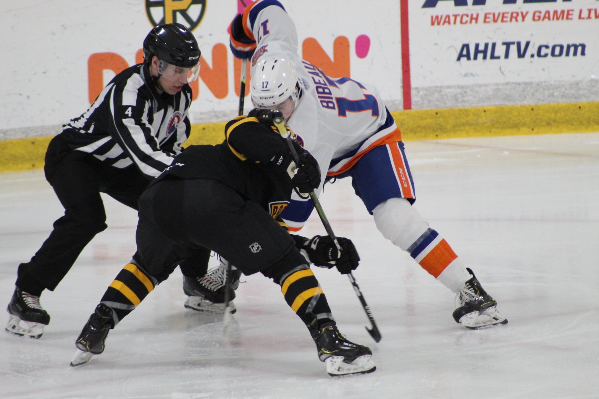 P-BRUINS FALL TO BRIDGEPORT SOUND TIGERS, 3-2