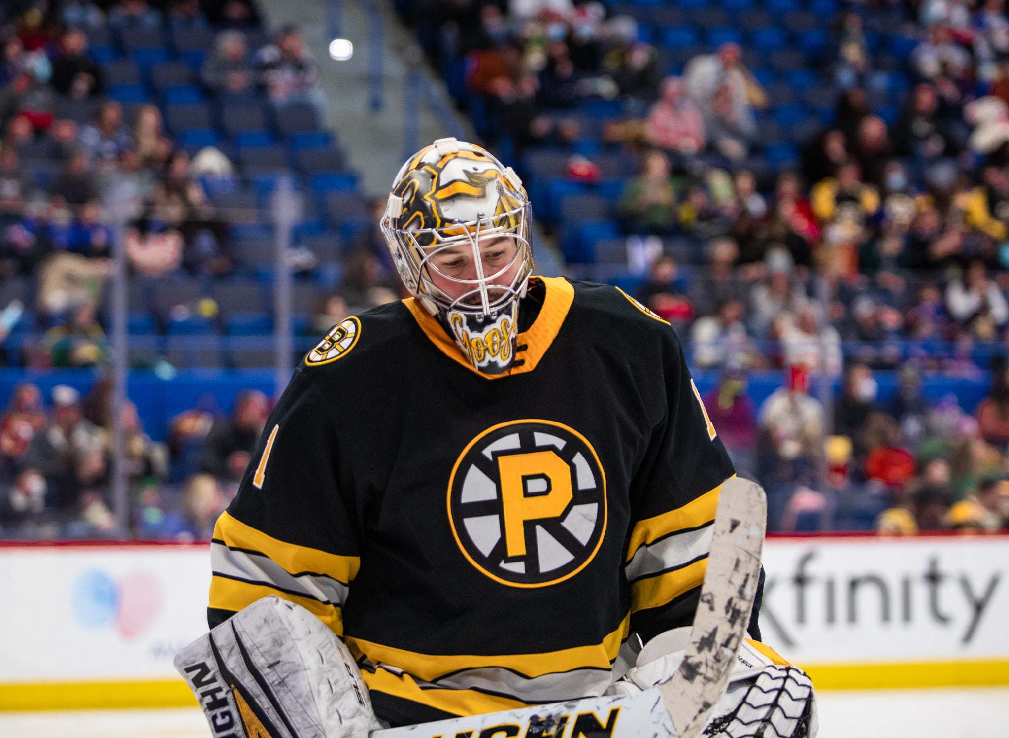 Providence Bruins on X: Lots of #AHLBruins hockey coming up at