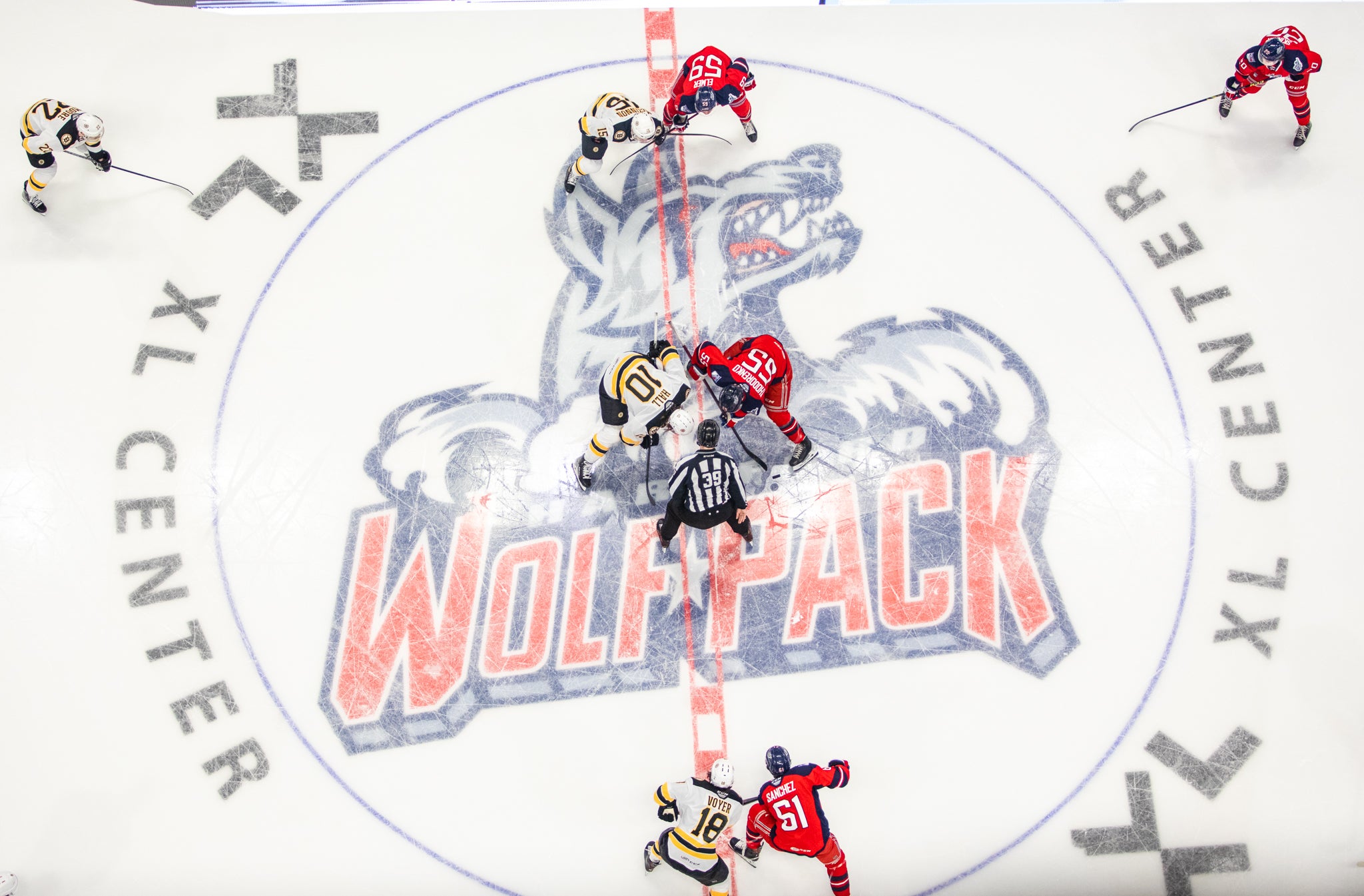 Hartford Wolf Pack