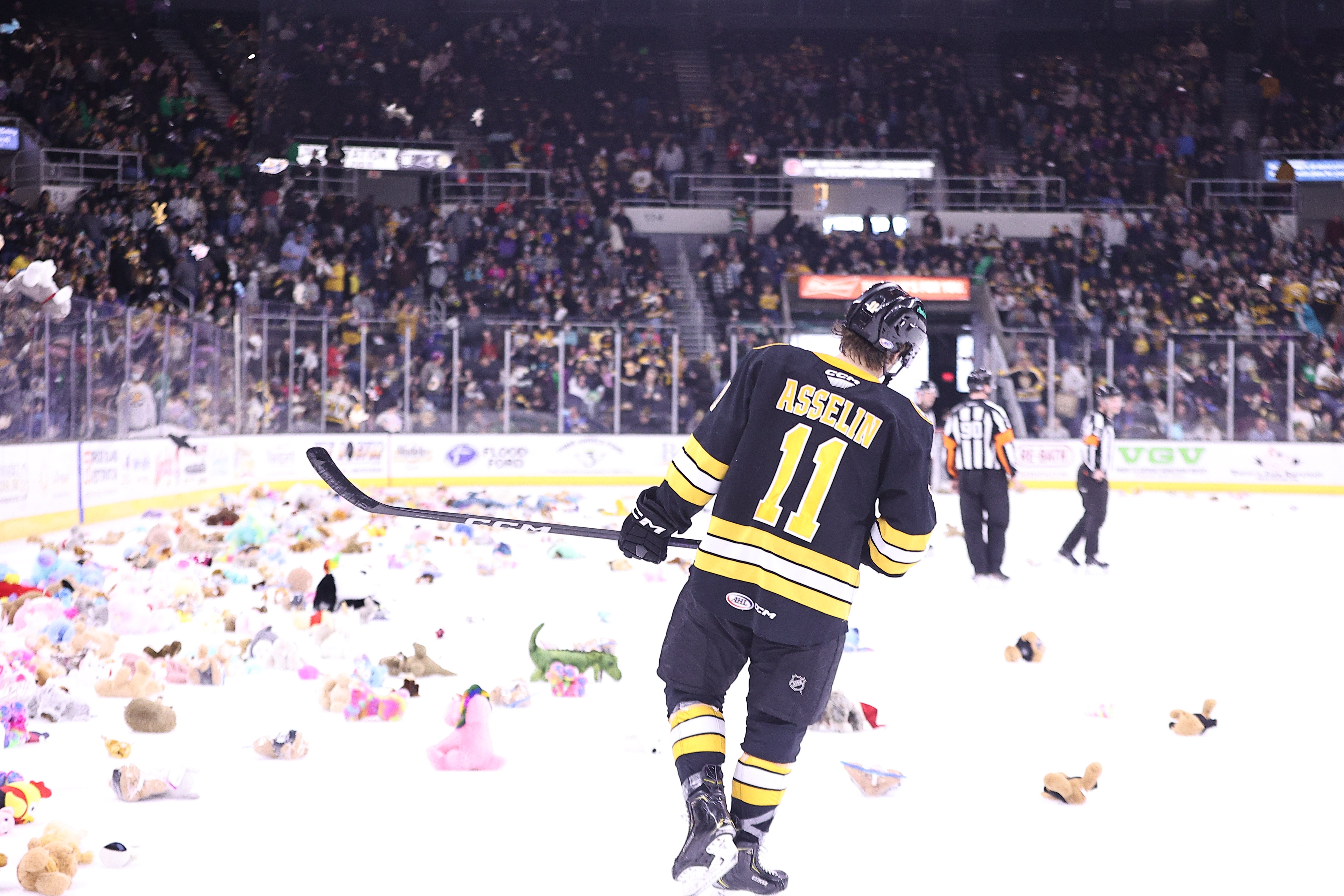 Providence Bruins — Blog —