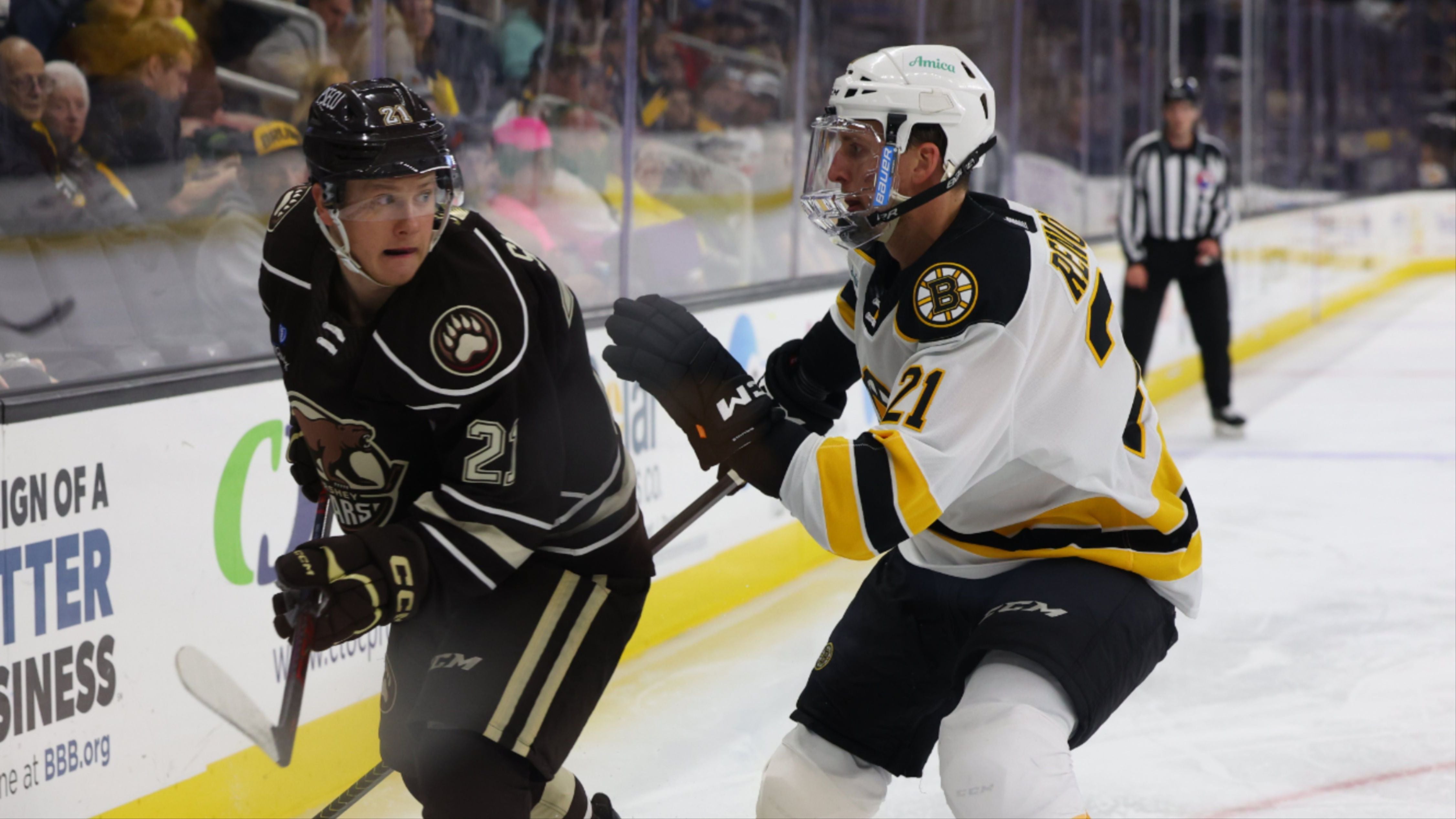 Seats of the Week  Providence Bruins