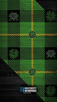 DigitalBackground_WEB_StPats_1.jpg