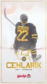 DigitalBackground_Web_1920_Cehlarik.jpg