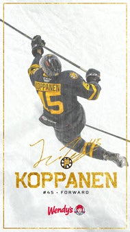 DigitalBackground_Web_1920_Koppanen.jpg