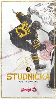 DigitalBackground_Web_1920_Studnicka.jpg