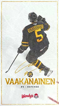 DigitalBackground_Web_1920_Vaakanainen.jpg