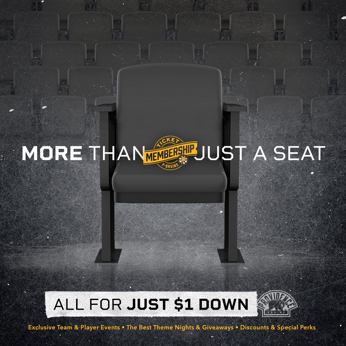 MoreThanJustSeats_1080_Generic.jpg