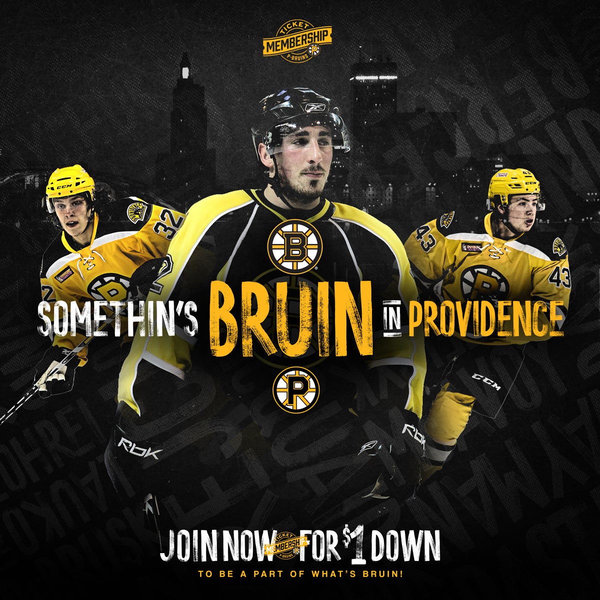 Single Game Suites Providence Bruins
