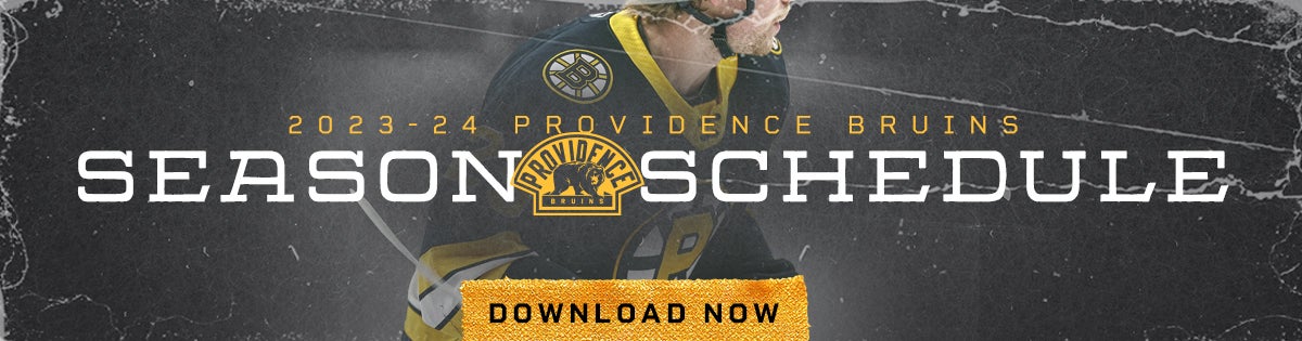 Providence Bruins 