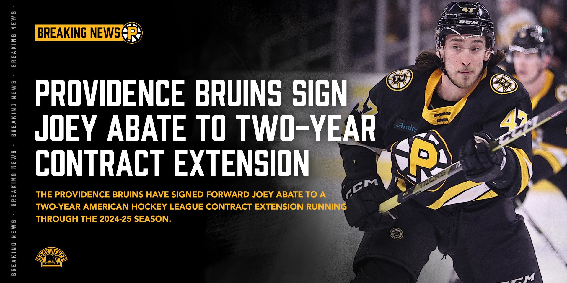 Providence Bruins — Blog —