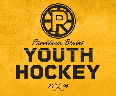 Providence Bruins Established Logo Youth Pullover Hoodie